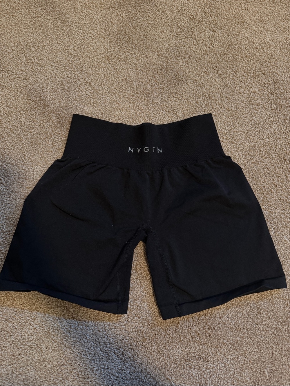 NVGTN Shorts